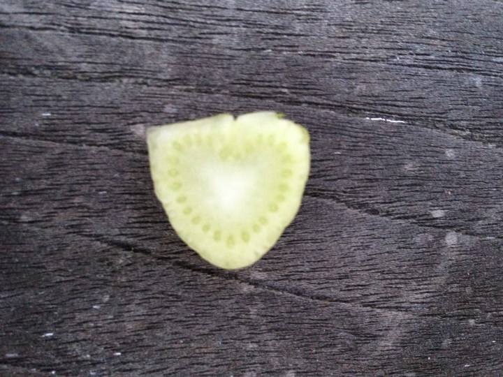 Look carefully for fennel #sign of love