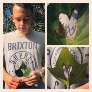 #Signs of Love from the Lad