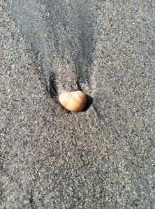 From a distance? I'll take it. 