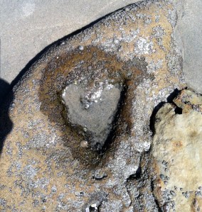 In presence and in absence, you can see a #sign of Love