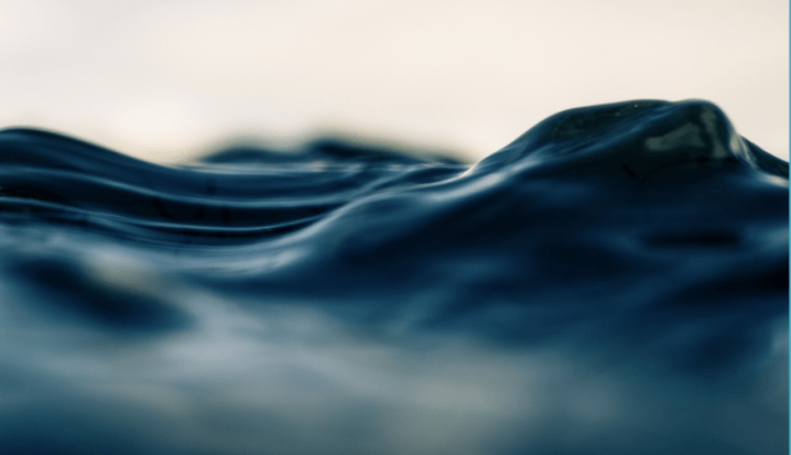 Screen Shot 2018-11-15 at 9.43.40 AM