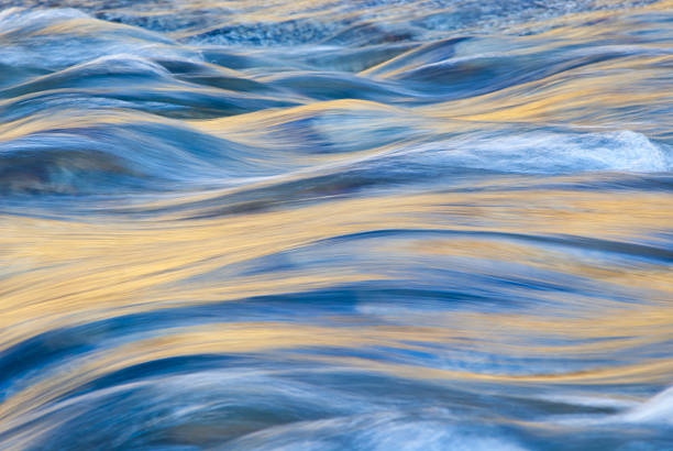Golden afternoon light reflected on the surface of a stream
